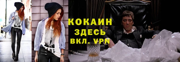 гидра Абаза