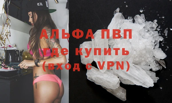гидра Абаза
