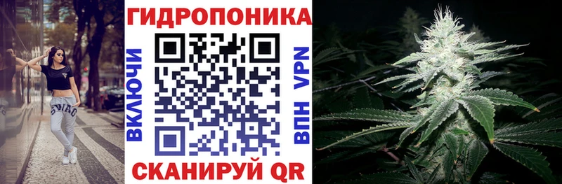МАРИХУАНА сатива  Нахабино 
